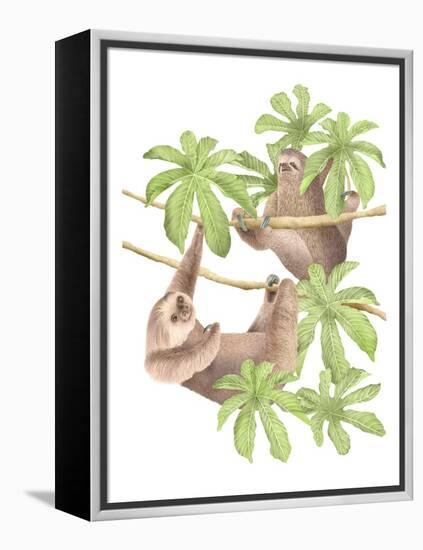 Costa Rica Sloths-Stacy Hsu-Framed Stretched Canvas