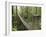 Costa Rica-null-Framed Photographic Print