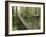 Costa Rica-null-Framed Photographic Print