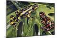Giclee Print