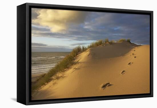 Costal Cliff at the 'Rotes Kliff' (Red Cliff) on the Island of Sylt in the Evening Light-Uwe Steffens-Framed Premier Image Canvas