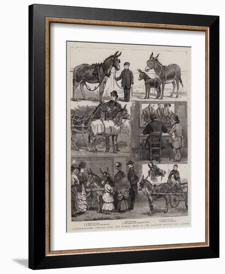 Costermongers' Jubilee Pony and Donkey Show at the People's Palace, East London-null-Framed Giclee Print