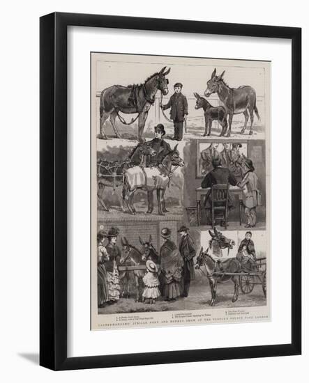 Costermongers' Jubilee Pony and Donkey Show at the People's Palace, East London-null-Framed Giclee Print