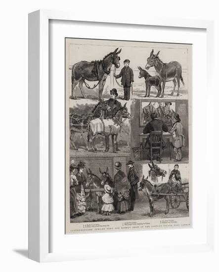 Costermongers' Jubilee Pony and Donkey Show at the People's Palace, East London-null-Framed Giclee Print