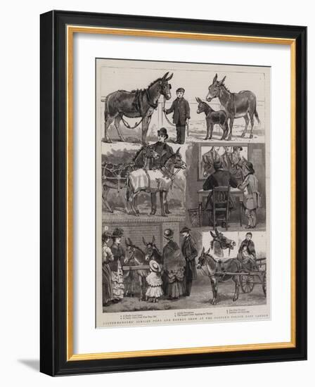 Costermongers' Jubilee Pony and Donkey Show at the People's Palace, East London-null-Framed Giclee Print