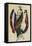 Costume Design for Cleopatra - a Dancer-Leon Bakst-Framed Premier Image Canvas