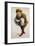 Costume Sketch-Adolfo Hohenstein-Framed Giclee Print