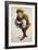 Costume Sketch-Adolfo Hohenstein-Framed Giclee Print