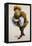 Costume Sketch-Adolfo Hohenstein-Framed Premier Image Canvas