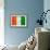Cote D'Ivoire Flag Design with Wood Patterning - Flags of the World Series-Philippe Hugonnard-Framed Premium Giclee Print displayed on a wall