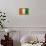 Cote D'Ivoire Flag Design with Wood Patterning - Flags of the World Series-Philippe Hugonnard-Framed Stretched Canvas displayed on a wall