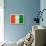 Cote D'Ivoire Flag Design with Wood Patterning - Flags of the World Series-Philippe Hugonnard-Framed Stretched Canvas displayed on a wall