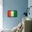 Cote D'Ivoire Flag Design with Wood Patterning - Flags of the World Series-Philippe Hugonnard-Framed Stretched Canvas displayed on a wall