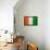 Cote D'Ivoire Flag Design with Wood Patterning - Flags of the World Series-Philippe Hugonnard-Framed Stretched Canvas displayed on a wall