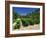 Cotes De Rhone Vineyards, Dentelles De Montmirail, Vaucluse, Provence, France, Europe-David Hughes-Framed Photographic Print