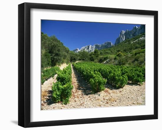 Cotes De Rhone Vineyards, Dentelles De Montmirail, Vaucluse, Provence, France, Europe-David Hughes-Framed Photographic Print