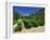 Cotes De Rhone Vineyards, Dentelles De Montmirail, Vaucluse, Provence, France, Europe-David Hughes-Framed Photographic Print