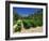 Cotes De Rhone Vineyards, Dentelles De Montmirail, Vaucluse, Provence, France, Europe-David Hughes-Framed Photographic Print