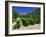 Cotes De Rhone Vineyards, Dentelles De Montmirail, Vaucluse, Provence, France, Europe-David Hughes-Framed Photographic Print