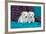 Coton De Tulear Puppies Posing-Zandria Muench Beraldo-Framed Photographic Print