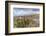 Cotopaxi National Park, a large forested area known for the active, snow-capped Cotopaxi volcano, E-Alexandre Rotenberg-Framed Photographic Print