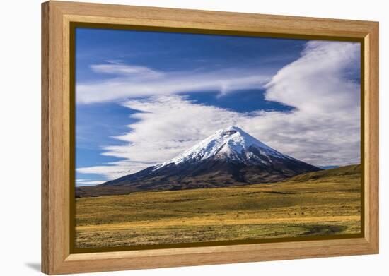 Cotopaxi Volcano 5897M Summit, Cotopaxi National Park, Cotopaxi Province, Ecuador, South America-Matthew Williams-Ellis-Framed Premier Image Canvas