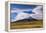 Cotopaxi Volcano 5897M Summit, Cotopaxi National Park, Cotopaxi Province, Ecuador, South America-Matthew Williams-Ellis-Framed Premier Image Canvas