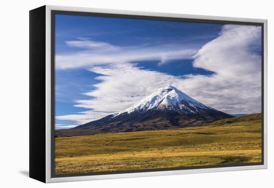 Cotopaxi Volcano 5897M Summit, Cotopaxi National Park, Cotopaxi Province, Ecuador, South America-Matthew Williams-Ellis-Framed Premier Image Canvas