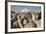 Cotopaxi Volcano and Alpacas, Cotopaxi National Park, Andes, Ecuador-Pete Oxford-Framed Photographic Print