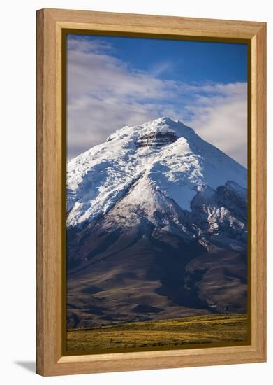 Cotopaxi Volcano Glacier Covered 5897M Summit, Cotopaxi National Park, Cotopaxi Province, Ecuador-Matthew Williams-Ellis-Framed Premier Image Canvas