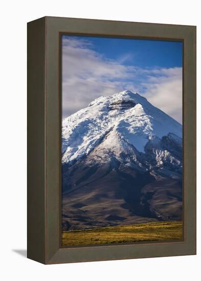 Cotopaxi Volcano Glacier Covered 5897M Summit, Cotopaxi National Park, Cotopaxi Province, Ecuador-Matthew Williams-Ellis-Framed Premier Image Canvas