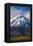 Cotopaxi Volcano Glacier Covered 5897M Summit, Cotopaxi National Park, Cotopaxi Province, Ecuador-Matthew Williams-Ellis-Framed Premier Image Canvas