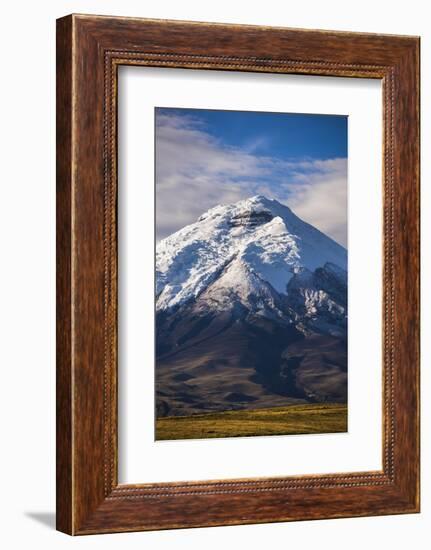 Cotopaxi Volcano Glacier Covered 5897M Summit, Cotopaxi National Park, Cotopaxi Province, Ecuador-Matthew Williams-Ellis-Framed Photographic Print