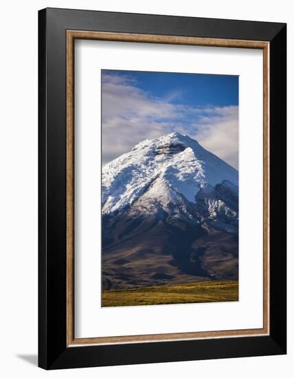 Cotopaxi Volcano Glacier Covered 5897M Summit, Cotopaxi National Park, Cotopaxi Province, Ecuador-Matthew Williams-Ellis-Framed Photographic Print