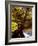 Cotswold Bridge-Jody Miller-Framed Photographic Print