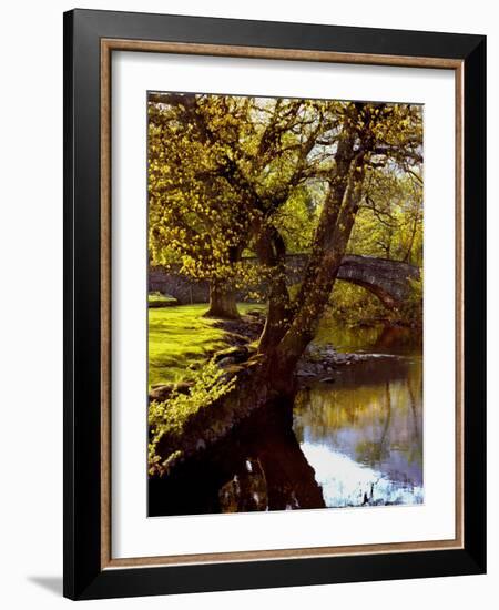 Cotswold Bridge-Jody Miller-Framed Photographic Print