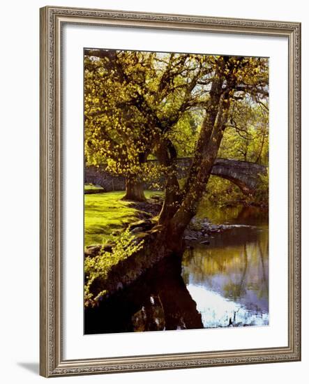 Cotswold Bridge-Jody Miller-Framed Photographic Print