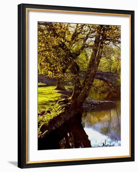 Cotswold Bridge-Jody Miller-Framed Photographic Print