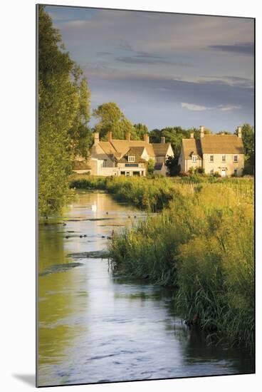 Cotswold Cottages-Adam Burton-Mounted Giclee Print