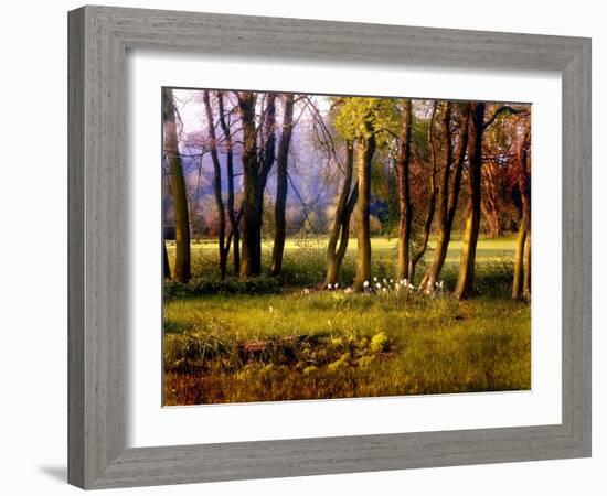 Cotswold Flowers-Jody Miller-Framed Photographic Print