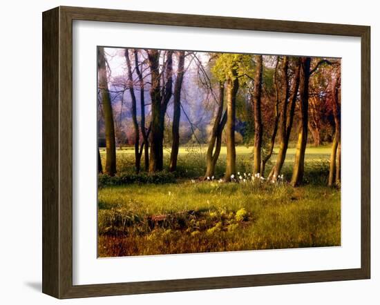 Cotswold Flowers-Jody Miller-Framed Photographic Print