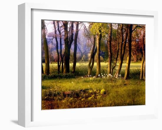 Cotswold Flowers-Jody Miller-Framed Photographic Print