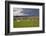 Cotswold Landscape with Sheep, Chipping Campden, Cotswolds, Gloucestershire, England-Stuart Black-Framed Photographic Print