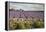 Cotswold Lavender field with Cotswold dry stone wall, Snowshill, Cotswolds, Gloucestershire, Englan-Stuart Black-Framed Premier Image Canvas