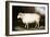 Cotswold Sheep-Porter Design-Framed Giclee Print