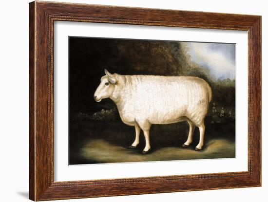 Cotswold Sheep-Porter Design-Framed Giclee Print