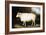 Cotswold Sheep-Porter Design-Framed Giclee Print