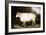 Cotswold Sheep-Porter Design-Framed Giclee Print