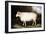 Cotswold Sheep-Porter Design-Framed Giclee Print