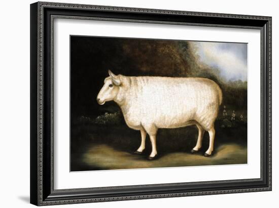 Cotswold Sheep-Porter Design-Framed Giclee Print
